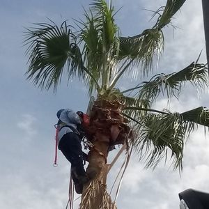 Meet your Posher, Efraín